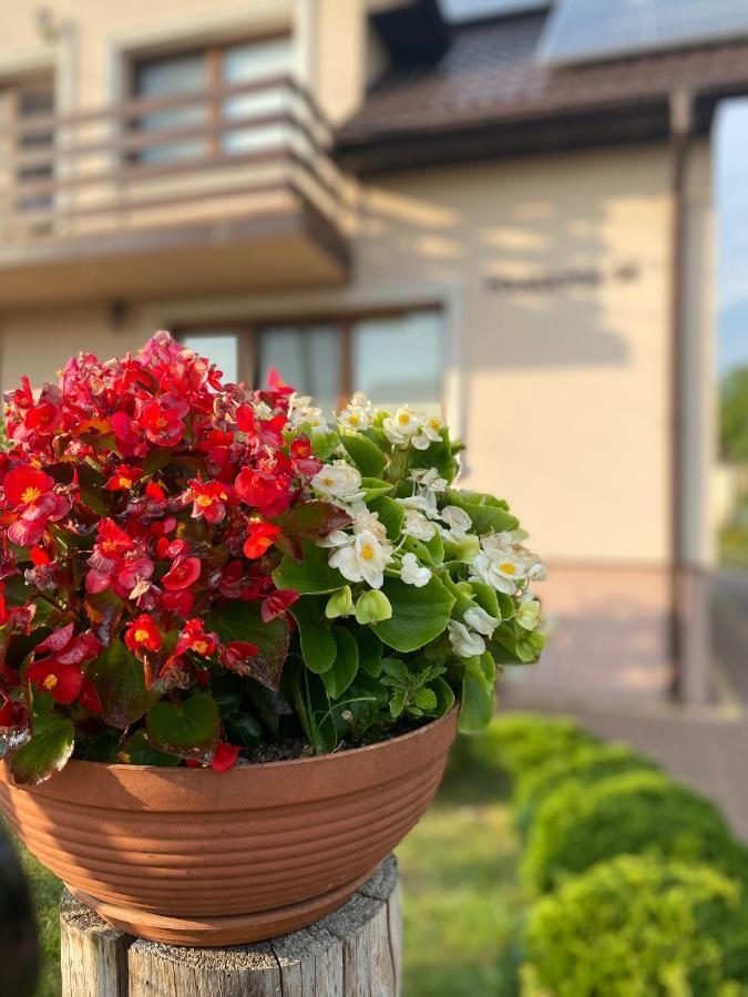 U Agi Daire Nowogród Dış mekan fotoğraf